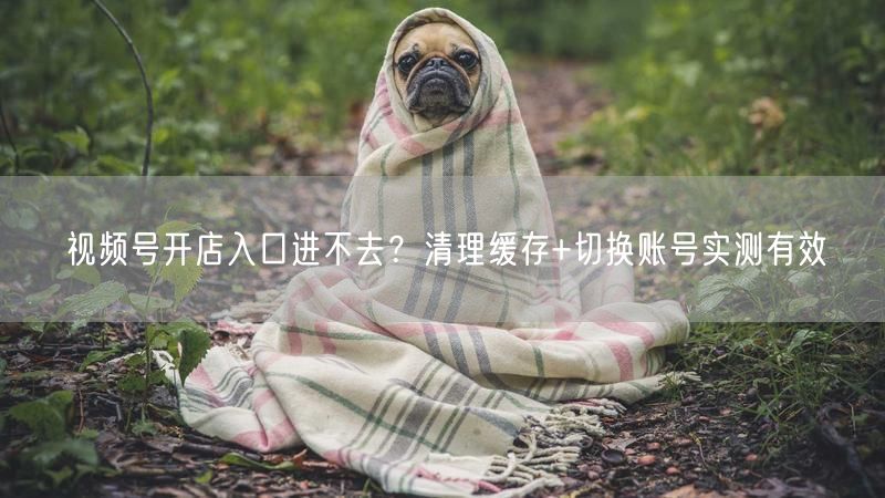 视频号开店入口进不去？清理缓存+切换账号实测有效