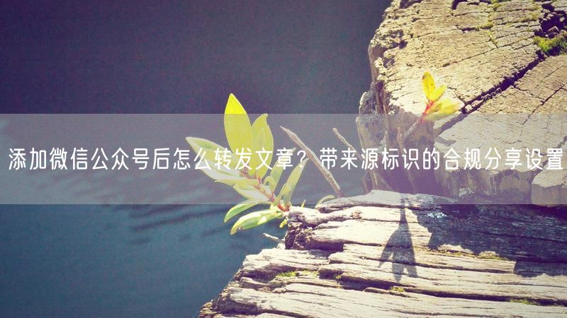 添加微信公众号后怎么转发文章？带来源标识的合规分享设置