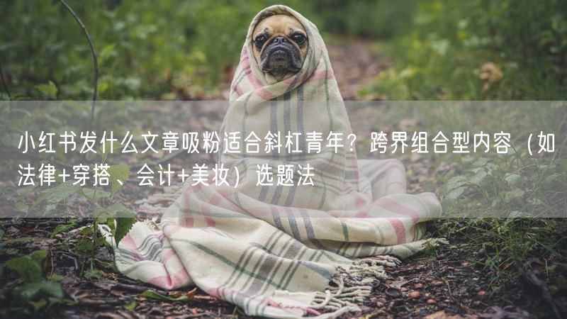 小红书发什么文章吸粉适合斜杠青年？跨界组合型内容（如法律+穿搭、会计+美妆）选题法
