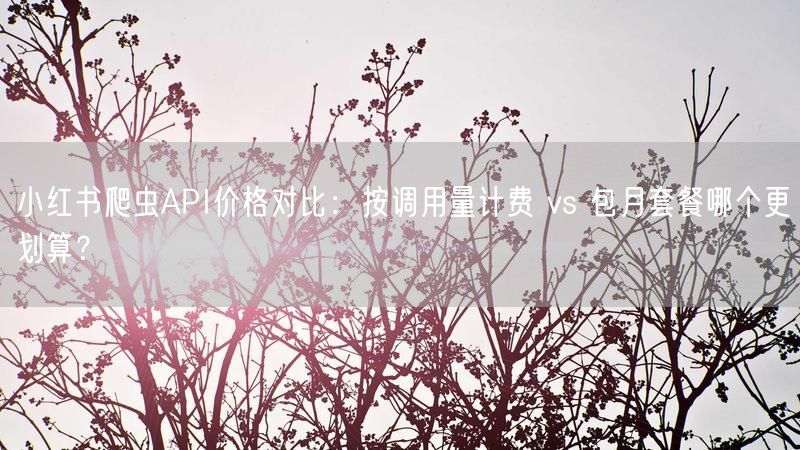 小红书爬虫API价格对比：按调用量计费 vs 包月套餐哪个更划算？