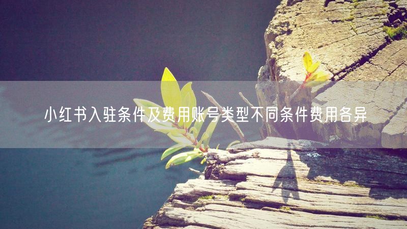 小红书入驻条件及费用账号类型不同条件费用各异