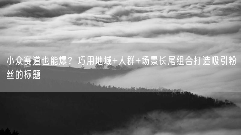 小众赛道也能爆？巧用地域+人群+场景长尾组合打造吸引粉丝的标题